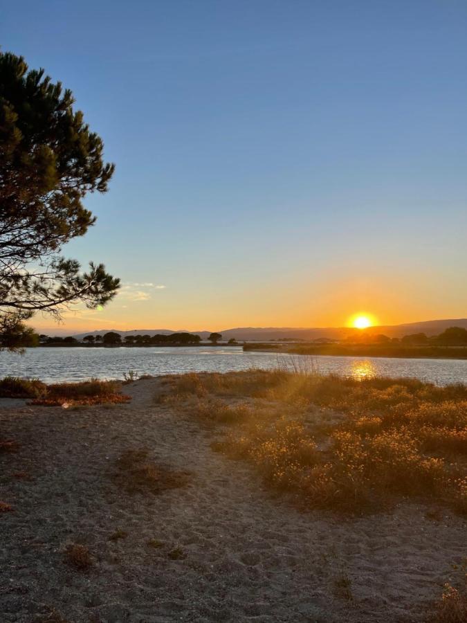 T2 Avec Terrasse, Vue Etang Et Son Coucher De Soleil, Plage A Proximite, Wifi Et Place De Parking Gratuit Que L On Nomme Puesta De Sol Le Barcarès Buitenkant foto
